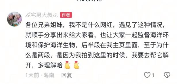 小海豚被困媽媽不停跳出水面求救 網(wǎng)友暖心救援引發(fā)關(guān)注