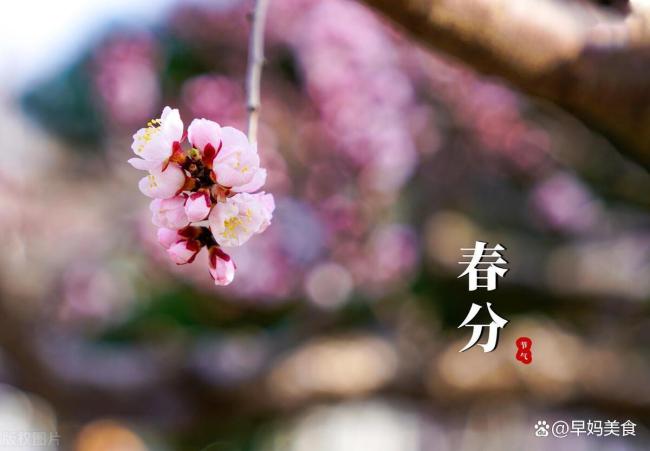 今日春分 記得：1衣不穿,、2菜不吃、3事不做 春分養(yǎng)生要點(diǎn)