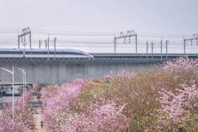 中國(guó)南北方景觀差異，坐高鐵速覽,！