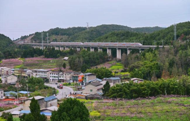 中國(guó)南北方景觀差異,，坐高鐵速覽,！