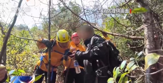 登山迷路怎么办？消防员手把手教你辨别方向