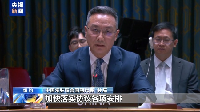 中方代表呼吁国际社会加大对南苏丹援助力度