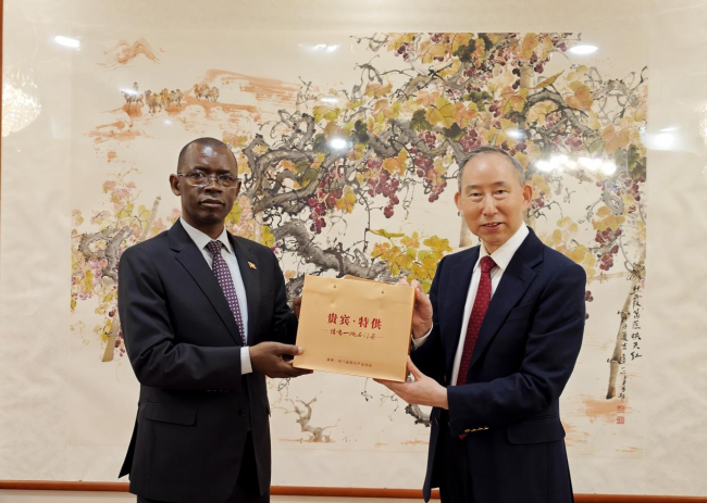龍宇翔與布隆迪共和國駐華大使特雷斯弗爾·伊拉姆博納親切會見