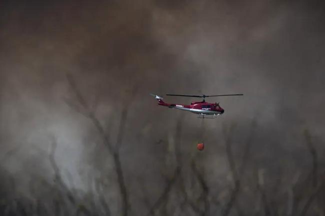 美国新泽西州爆发20年最大野火 数千居民撤离