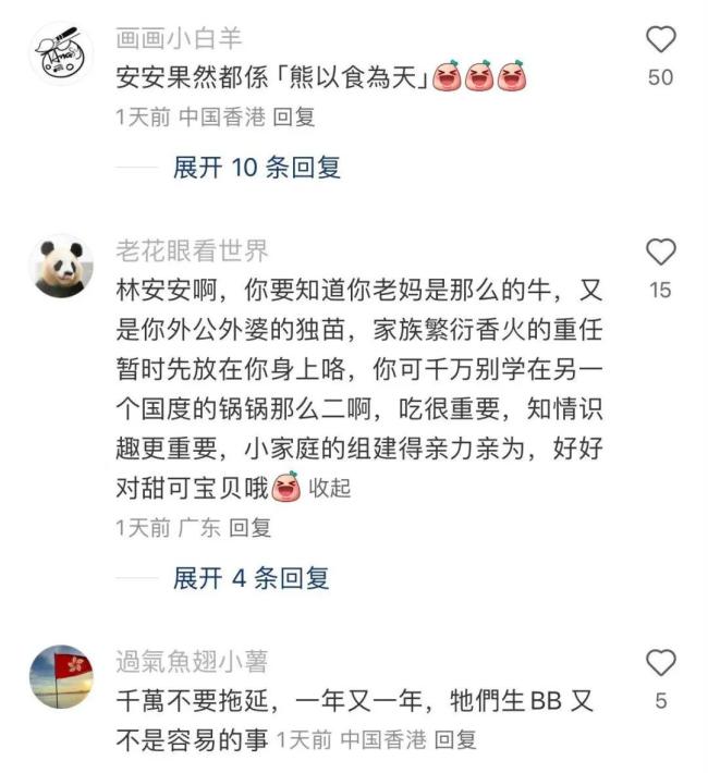 大熊貓安安被曝不近女色 專心干飯?jiān)鲋?公斤