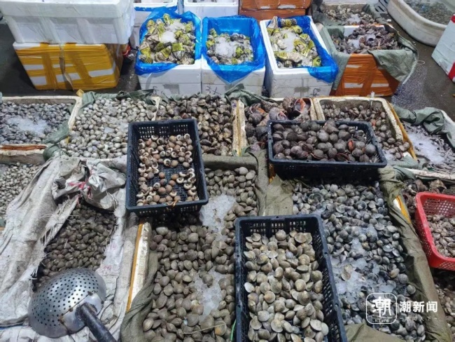 @浙江人,，5月8日起,，禁止銷售！涉及8種海鮮 東海休漁期來臨