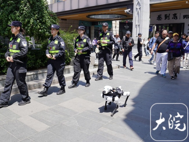 揭秘警犬的五一假期 機(jī)器警犬成焦點(diǎn)