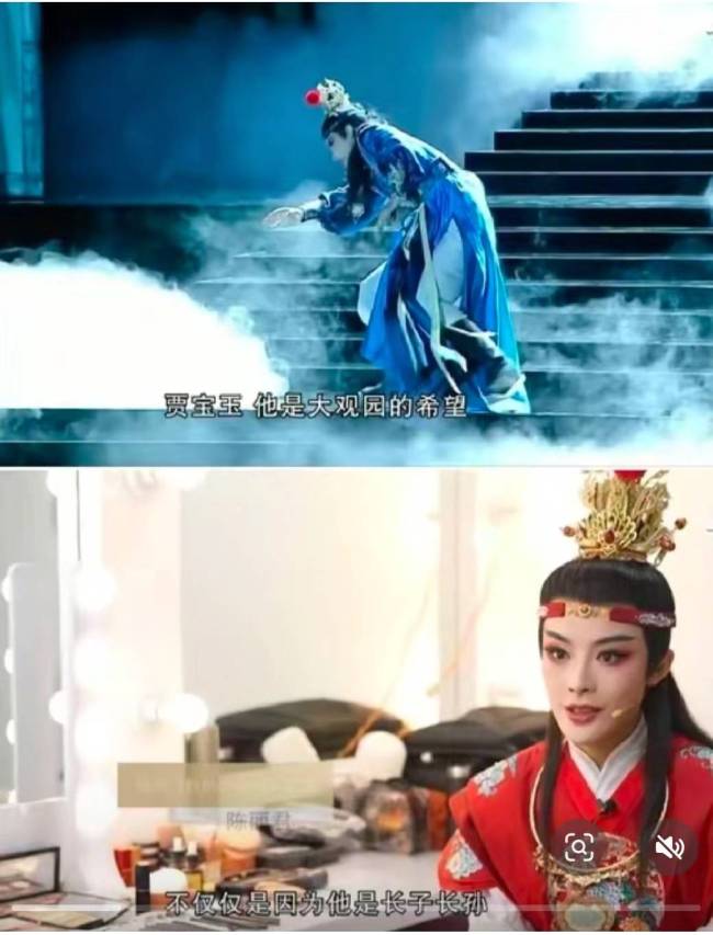 陳麗君說賈寶玉是長子長孫 戲曲文化需深思