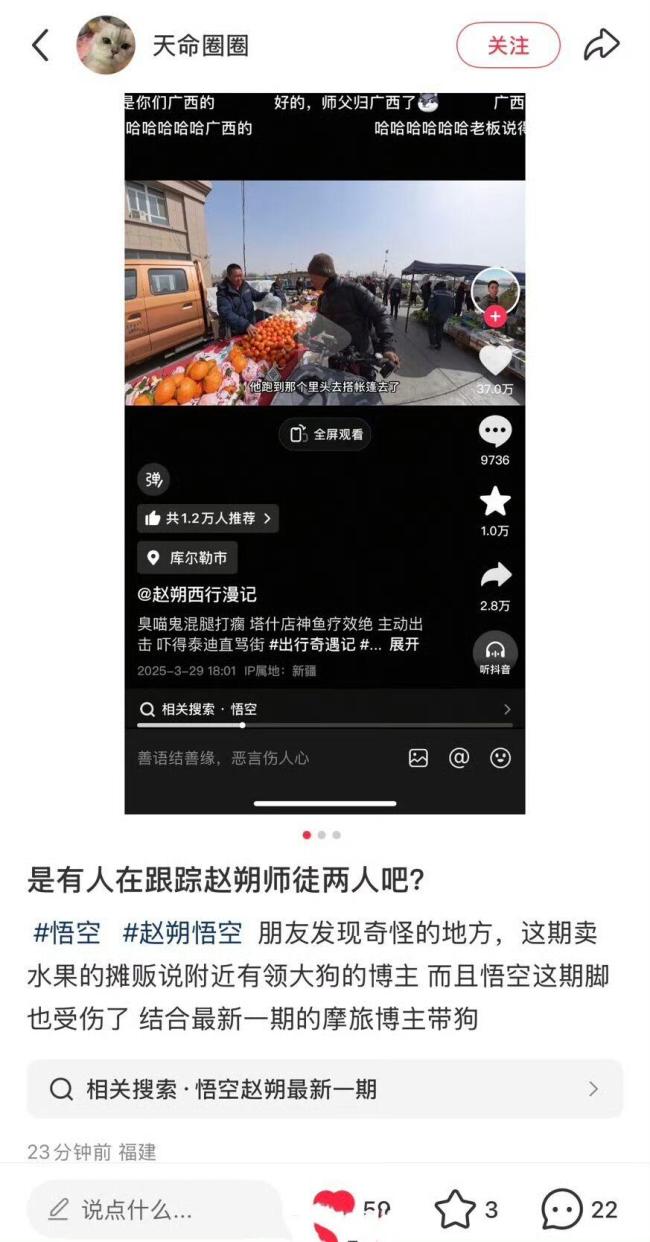 主人發(fā)布網(wǎng)紅小貓悟空去世細(xì)節(jié) 真相竟是陰謀