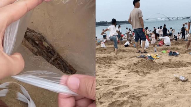 女子在沙灘玩20分鐘撿了小半兜銹釘 安全隱患引關(guān)注