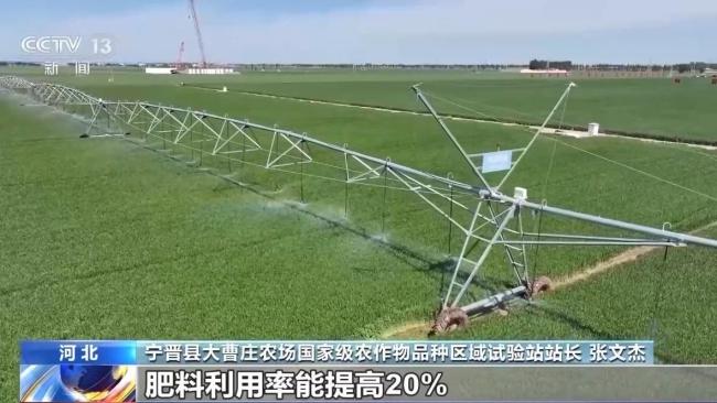 我国夏粮进入产量形成关键期