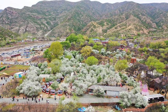 五一文旅熱度創(chuàng)近三年新高