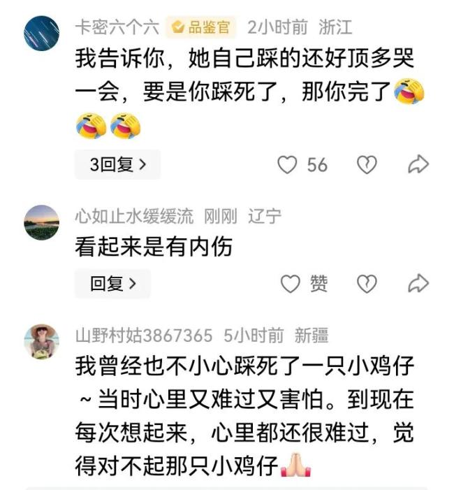 女孩帶小雞玩時(shí)意外把小雞踩在腳下 小雞堅(jiān)強(qiáng)跑兩米終倒下