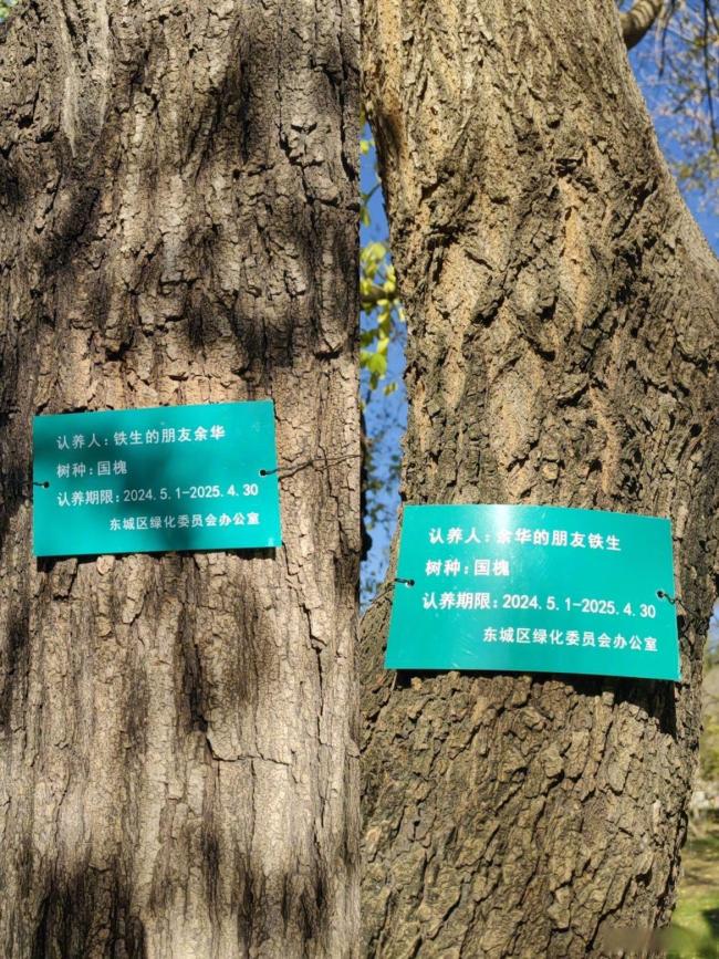 树该续费了?余华:我不知道这事