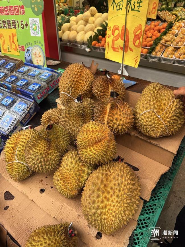 榴蓮即將進入旺季 價格將明顯回落 供應增加帶動降價