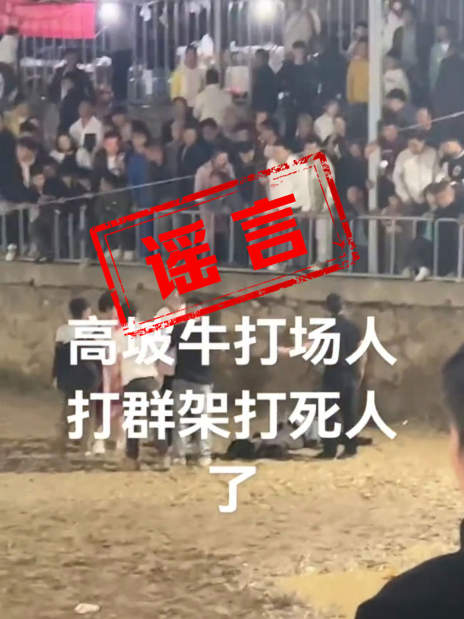 官方辟謠斗牛比賽現(xiàn)場沖突致人死亡