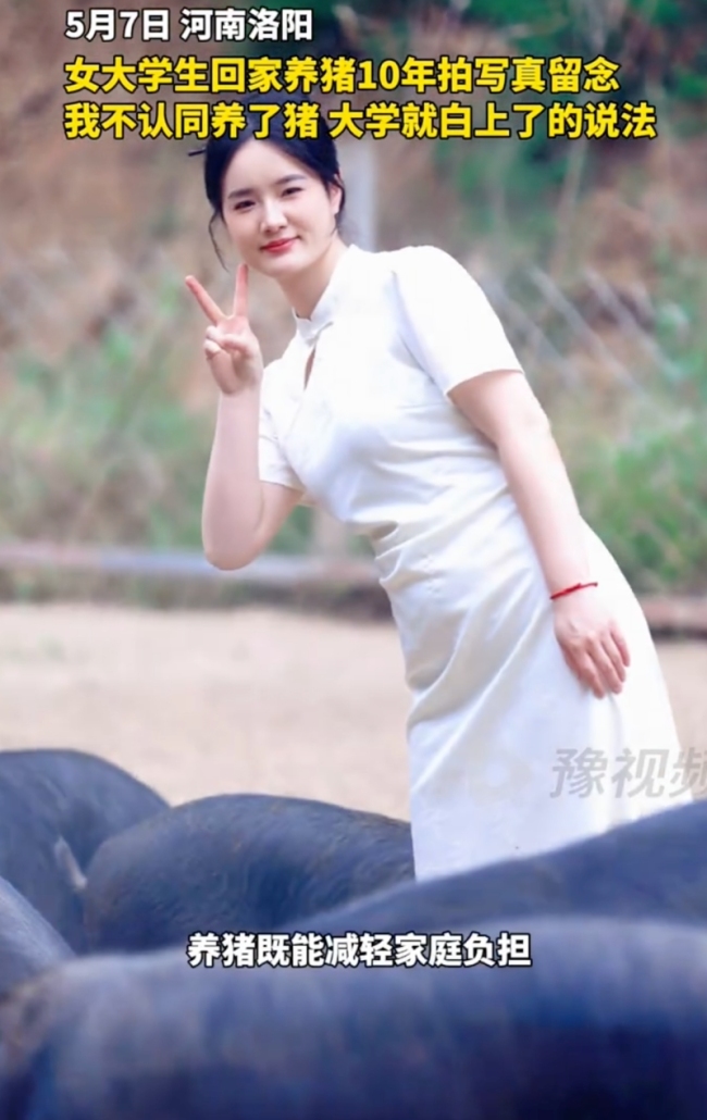 女孩穿旗袍在養(yǎng)豬場(chǎng)拍寫真