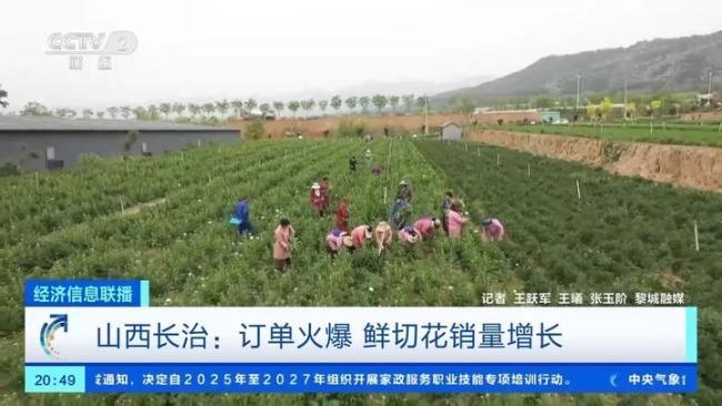 母親節(jié)鮮花賣爆了 訂單量激增