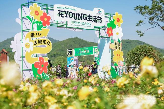第九屆國(guó)際月季大會(huì)今天開(kāi)幕 千余品種齊亮相