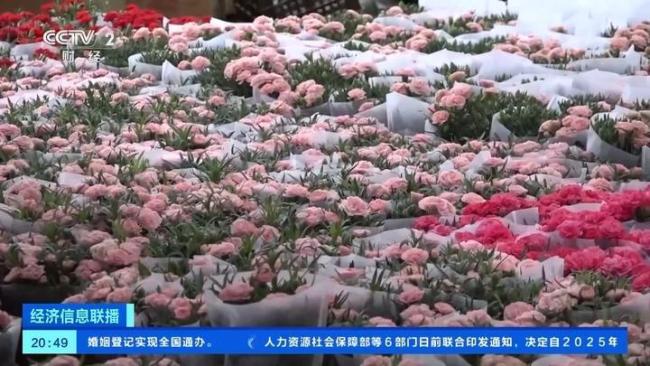 母親節(jié)鮮花賣爆了 訂單量激增