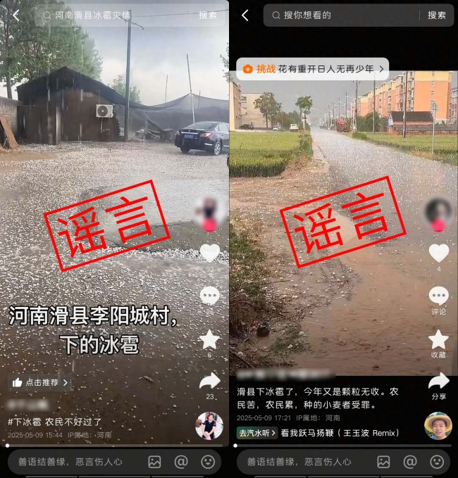 河南安陽冰雹致小麥顆粒無收,？假的