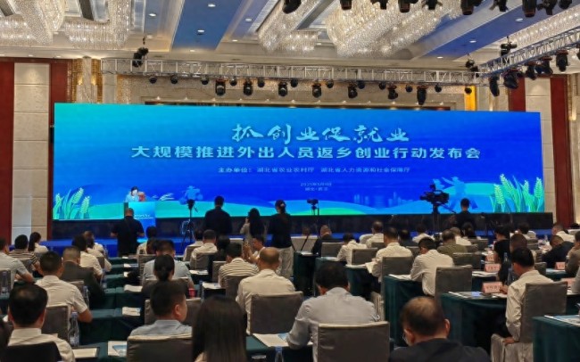湖北“归雁经济”迸发新活力