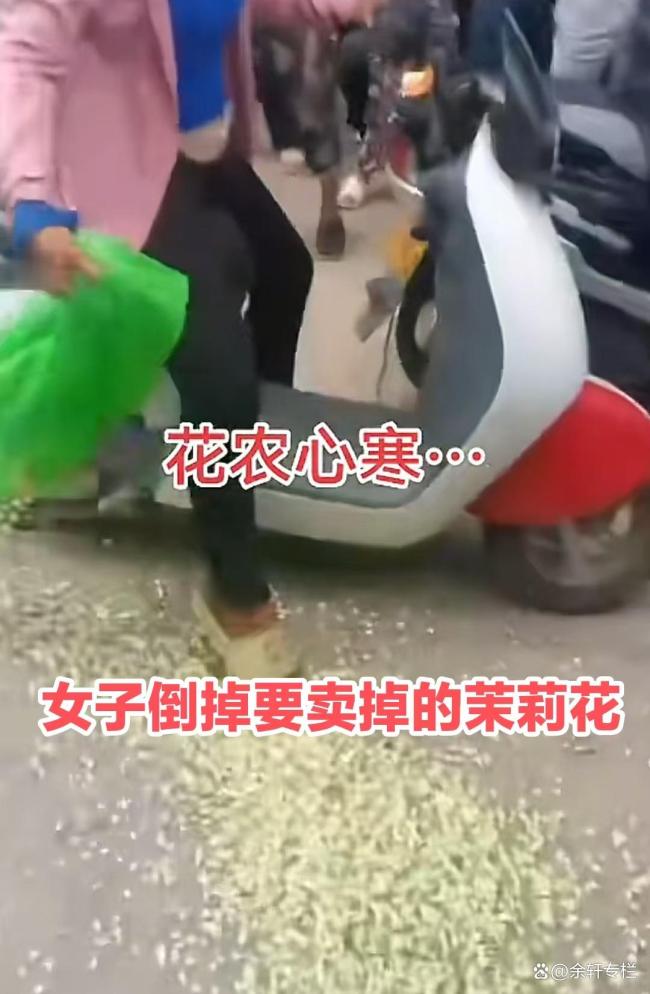 廣西女子倒掉本要賣(mài)的茉莉花 無(wú)奈之舉背后的辛酸
