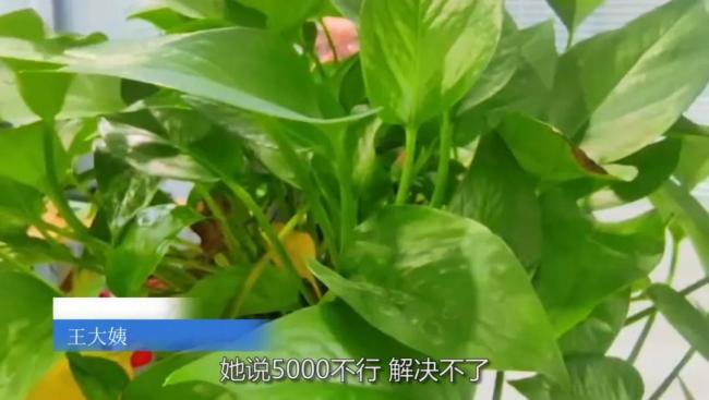 大姨街頭怒吼親手抓住騙子 機(jī)智應(yīng)對(duì)騙術(shù)