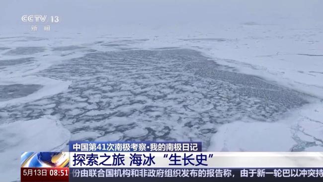 中國南極科考有了新發(fā)現(xiàn) 海冰與生態(tài)系統(tǒng)揭秘