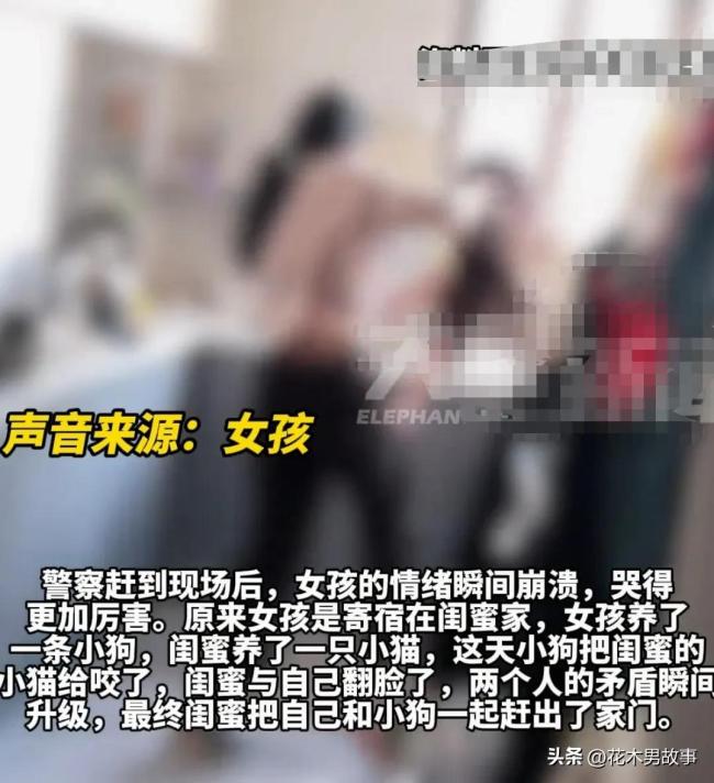 女孩因貓狗大戰(zhàn)深夜被趕出家門(mén) 塑料閨蜜情引發(fā)熱議