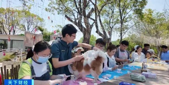 毛孩子也能坐公交了 寵物友好公交線受歡迎