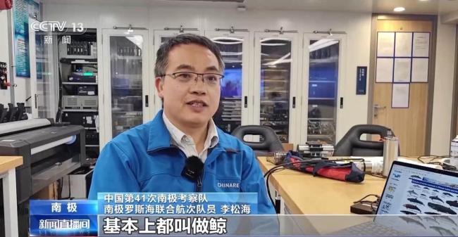 座頭鯨偷偷探班中國(guó)科考船 南極奇遇記