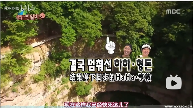 為什么太行山上長(zhǎng)滿了韓國(guó)人？