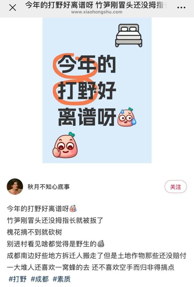 年輕人愛上打野農(nóng)戶深受困擾 采摘潮流引發(fā)爭議