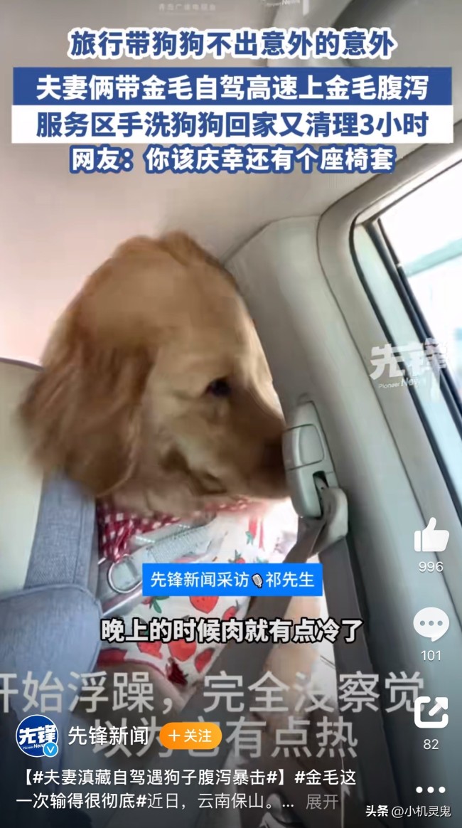 夫妻滇藏自駕遇狗子腹瀉暴擊：狗子一泡