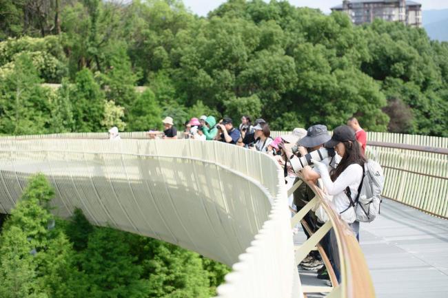 當(dāng)年輕人愛上追鳥 觀鳥成新潮流