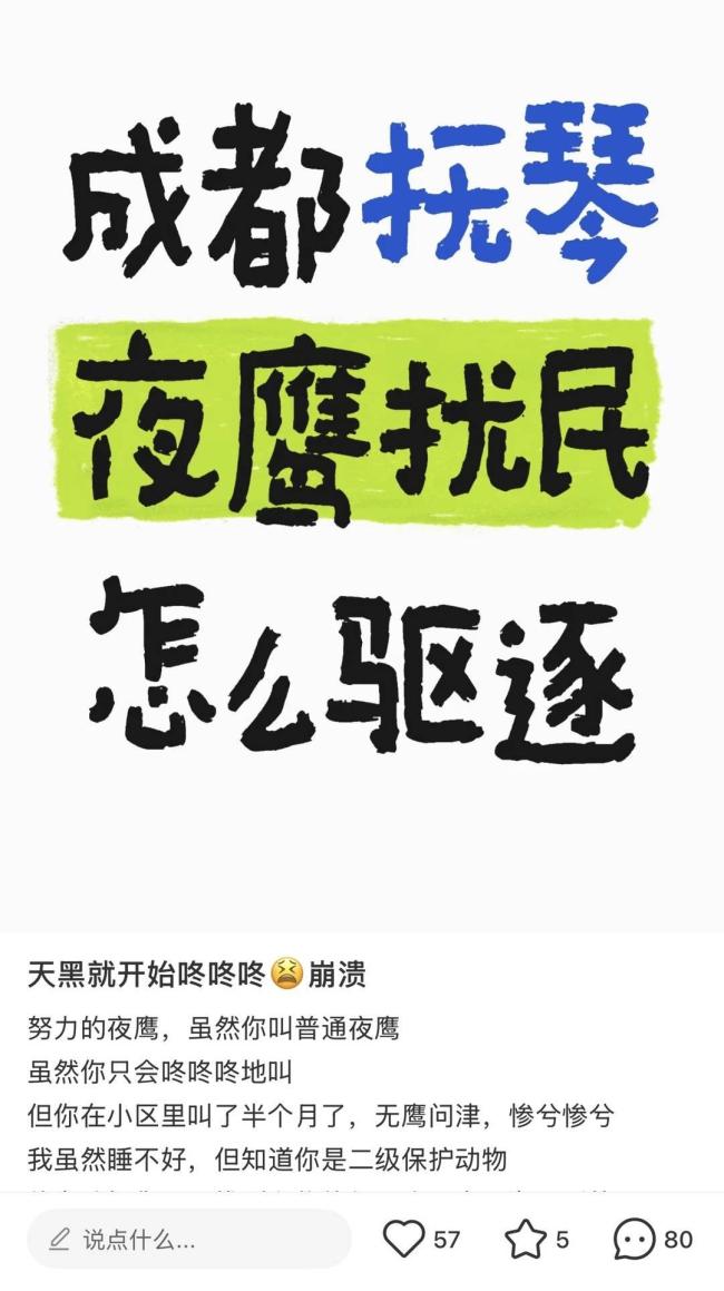 成都多地深夜驚現(xiàn)神秘噠噠聲 夜鷹唱情歌擾民
