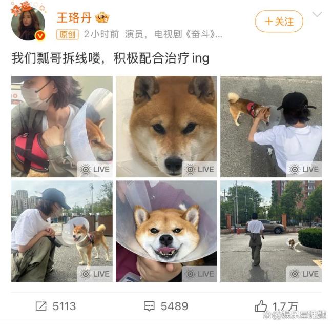 王珞丹晒“瓢哥”术后近况