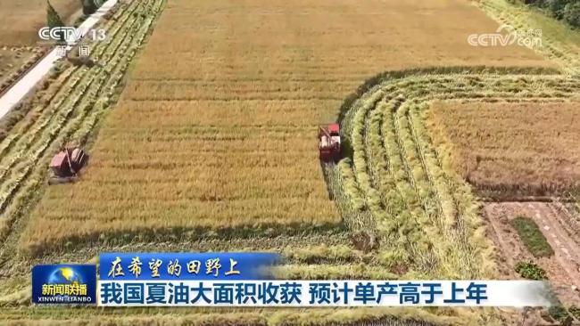 中國(guó)夏油大面積收獲 單產(chǎn)將高于上年 冬油菜單產(chǎn)有望再提升