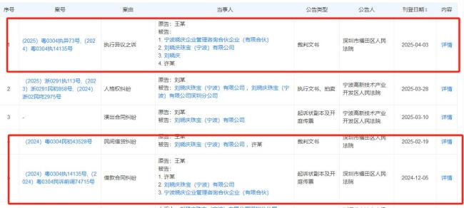 刘晓庆“逃税”举报人发声 再陷税务风波