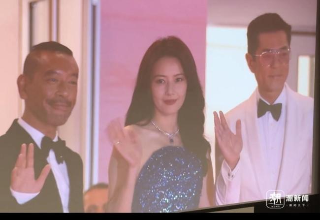 戛納《風(fēng)林火山》首映 八年磨一劍引發(fā)熱議