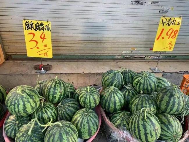 杭州西瓜价格跳水大跌50% 气温攀升带动销量