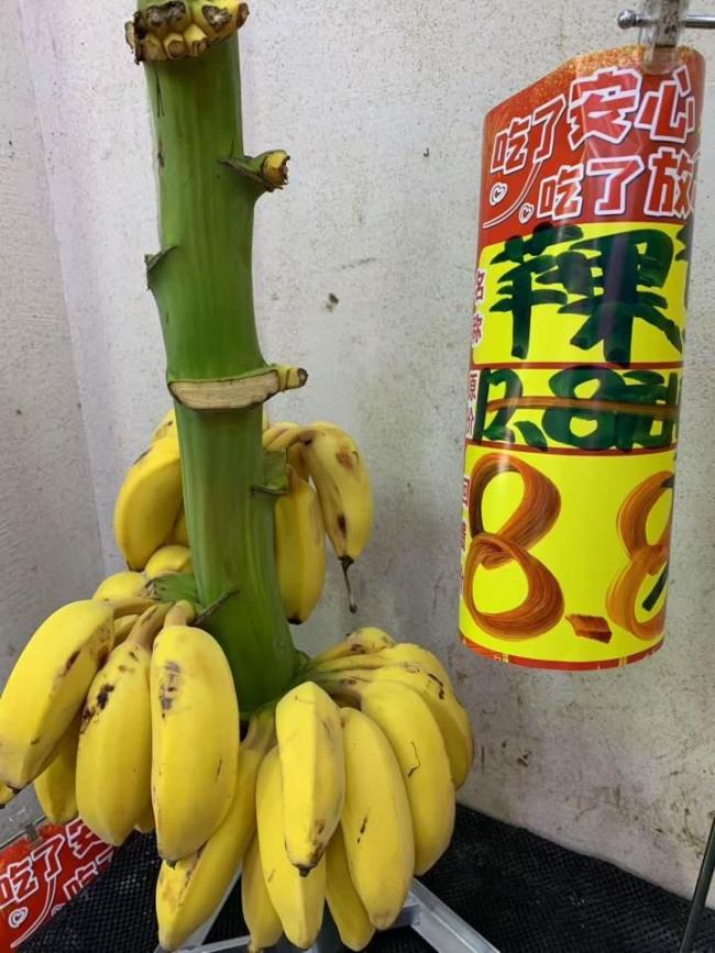 水果價(jià)格多數(shù)在降 香蕉為何貴了一倍 供應(yīng)減少推高價(jià)格
