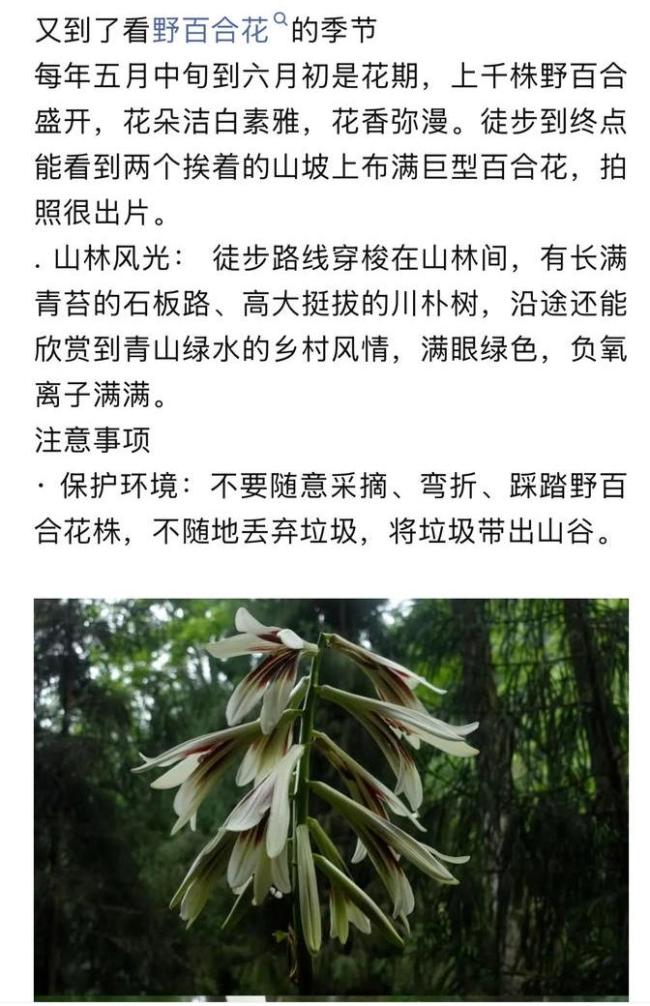都江堰野百合收費事件 游客質(zhì)疑收費合理性
