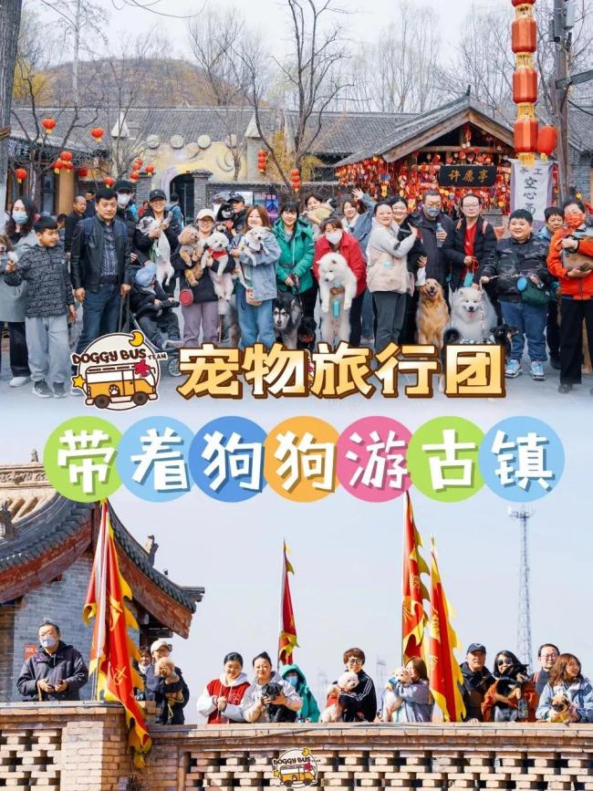 一場(chǎng)狗狗婚禮引起了巨大爭(zhēng)議 寵物經(jīng)濟(jì)火熱背后的心理需求