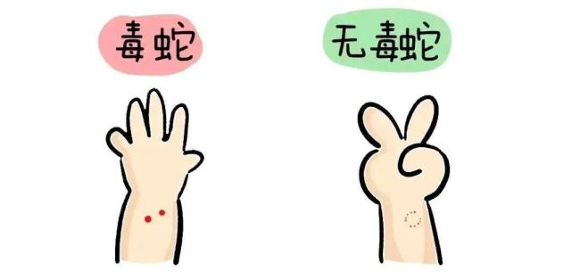 强得可怕！女子手抓大蛇骑车过市 遇到蛇该怎么办