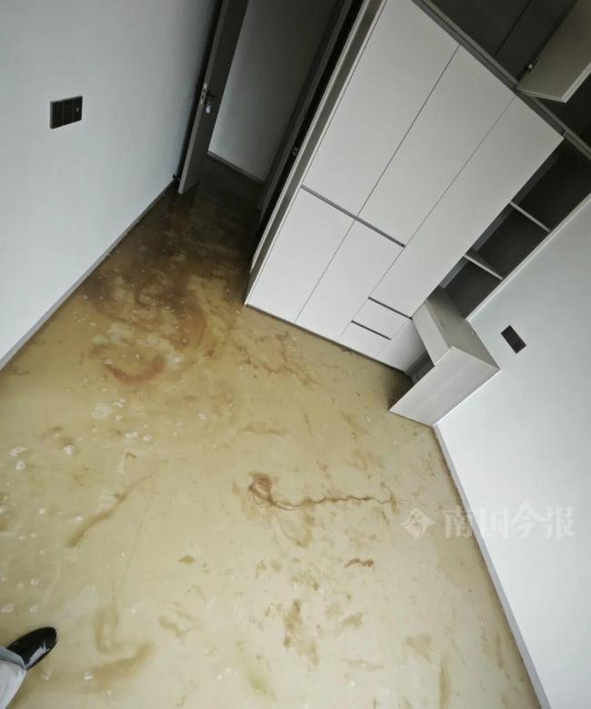 婚房被糞水浸泡 業(yè)主崩潰 新房未入住已泡湯