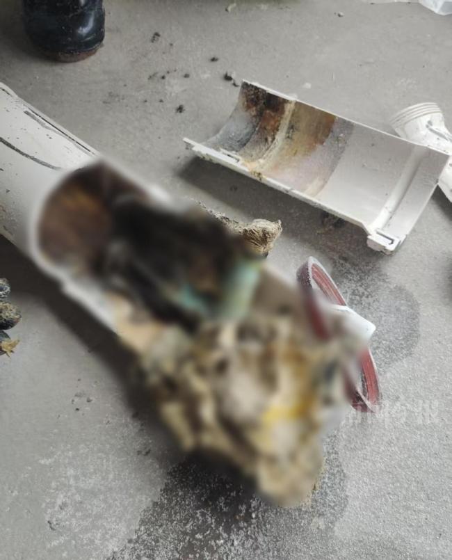 婚房被糞水浸泡 業(yè)主崩潰 新房未入住已泡湯