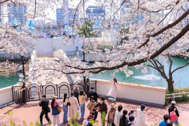韓國結(jié)婚最高可獲2000萬韓元獎勵 應(yīng)對低生育率挑戰(zhàn)