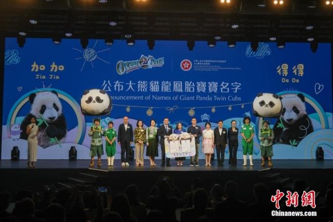 香港熊貓龍鳳胎名字公布